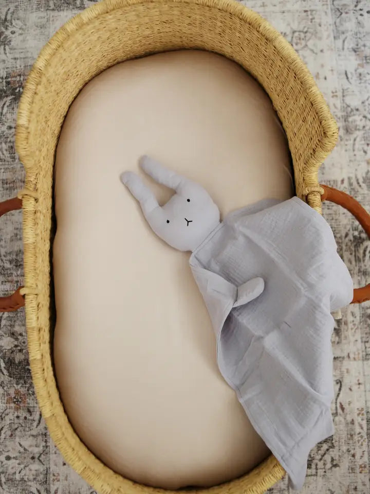 Winter Sky Bunny Lovey Blanket